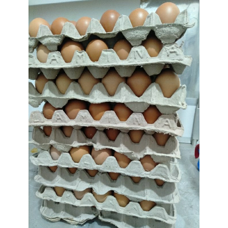

TELUR AYAM 15 KG FRESH LANGSUNG KIRIM