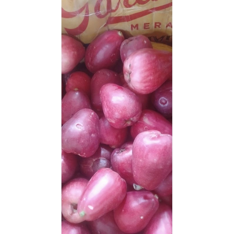 

jambu bol manis polll