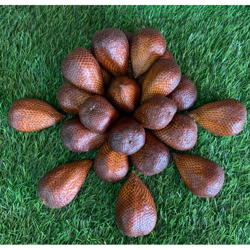 

Salak Pondoh Manis Ukuran Jumbo