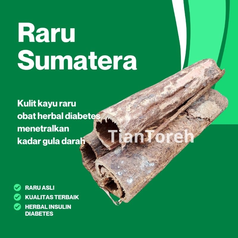 

Kulit Kayu Raru obat diabetes menetralkan gula darah Diabetes