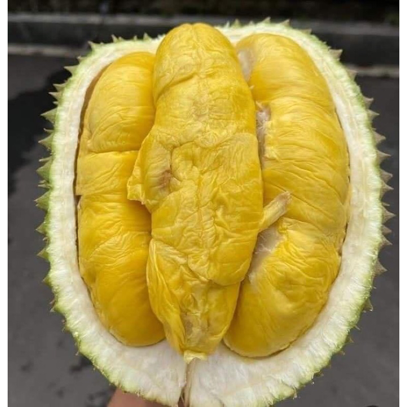 

Durian super bawor premium lokal 500 grm durian kupas feozen