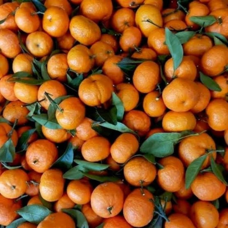 

jeruk santang 500 gram