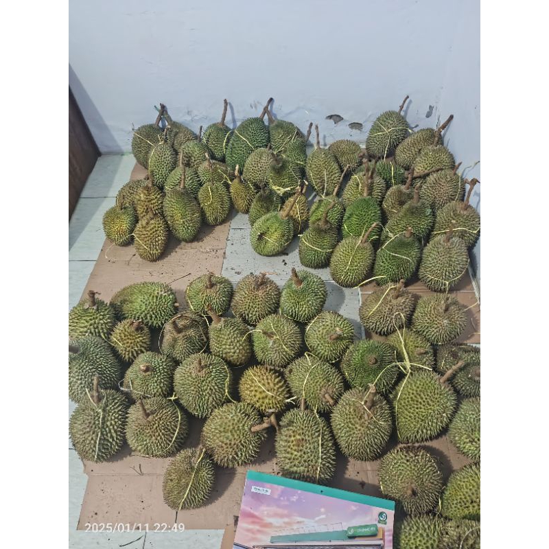 

Durian laron atau kasmin