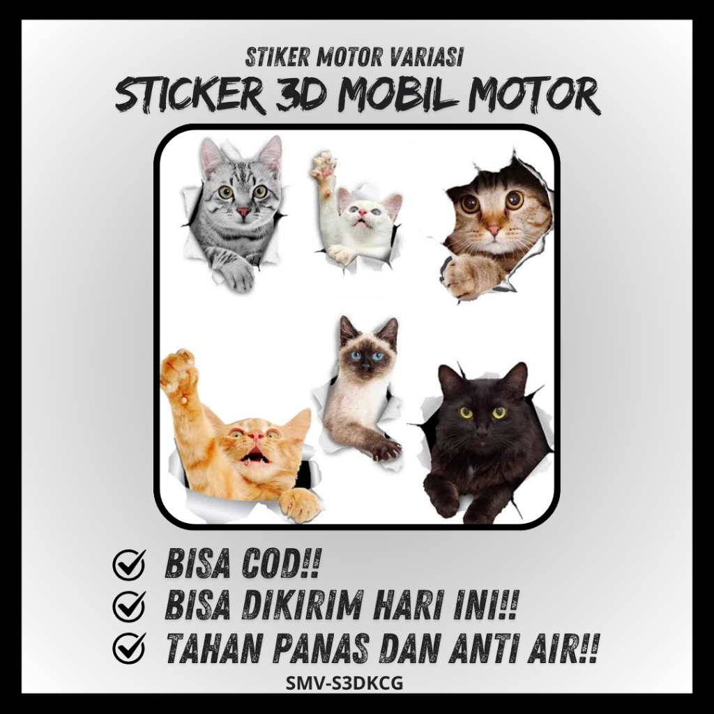 Harga sticker kucing 3d motor Terbaru Jun 2026 | BigGo Indonesia