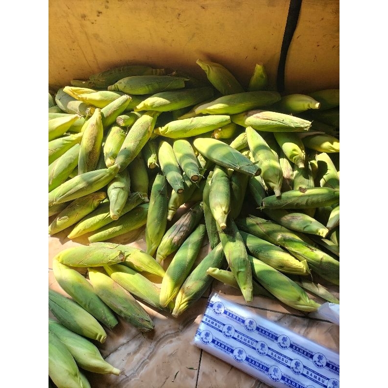 

JagungBakarmanisJogja