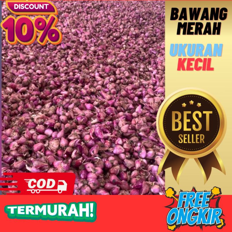 

bawang merah ukuran kecil kering kualitas premium