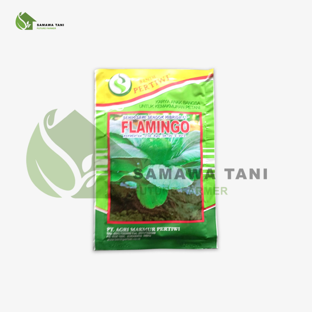 Benih Bibit Pakcoy Sawi Sendok Hibrida F1 Flamingo Benih Pertiwi 10gr