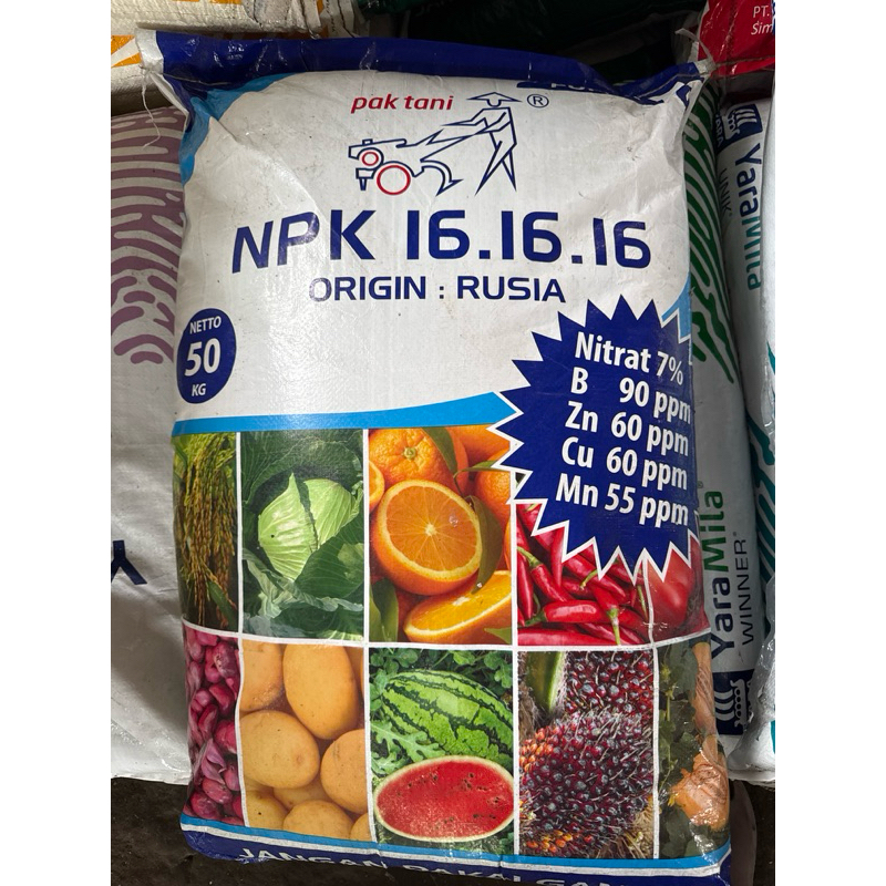 NPK PAK TANI 161616(( 50kg ))origin : rusia