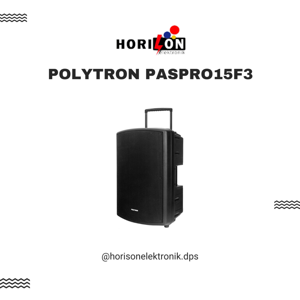 SPEAKER PORTABLE BLUETOOTH POLYTRON PASPRO15F3 15 INCH