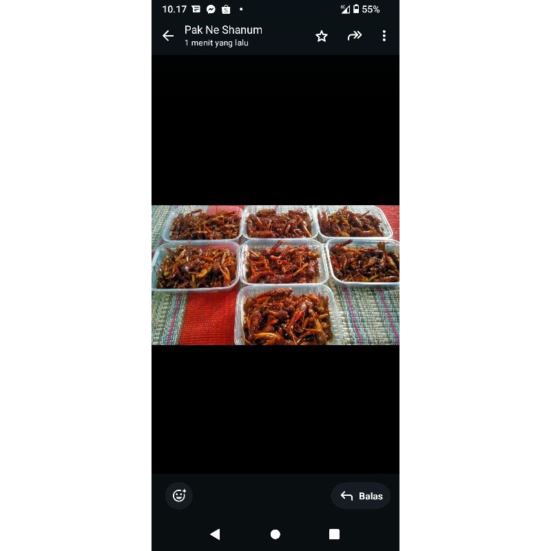 

belalang goreng