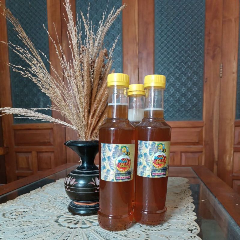

madu lebah liar asli hutan