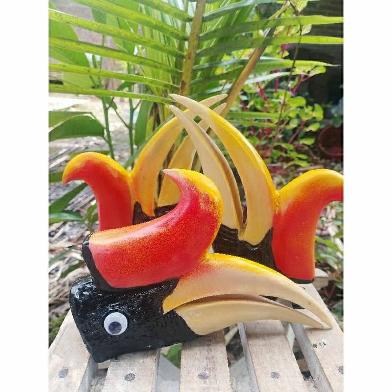 Burung Enggang Untuk Aksesoris Topi Dayak Kalimantan