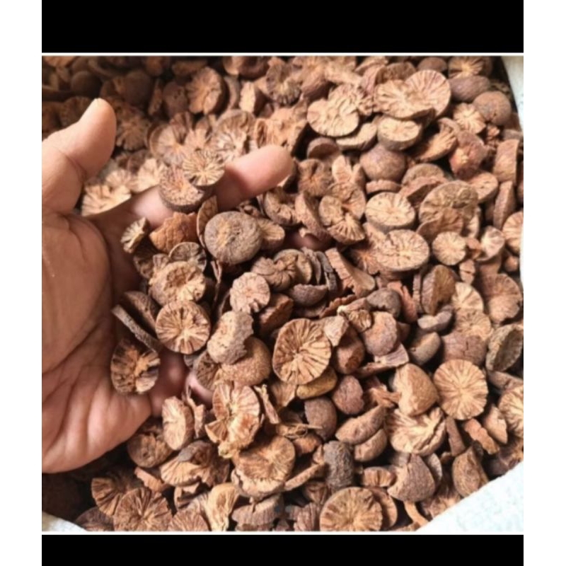 

pinang muda iris kring/100g-pinangkering.asli