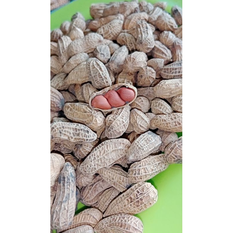 

Kacang kulit sangrai / kacang tanah sangrai / kacang sangrai 250g