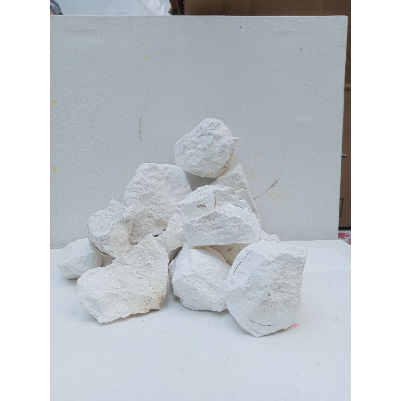 Kapur Aktiv Batu Gamping kapur tohor Cao TERMURAH 