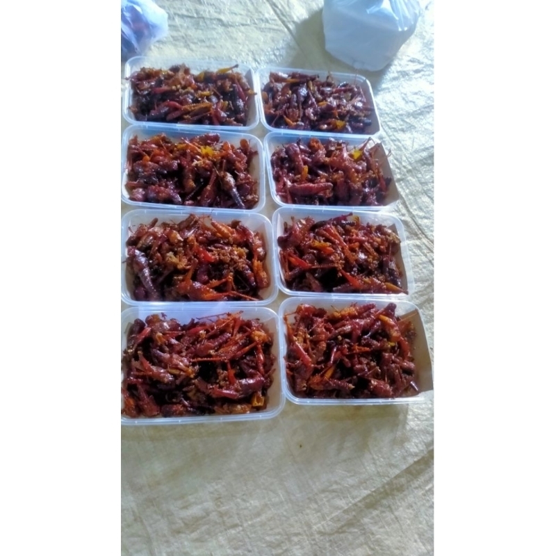 

Belalang goreng