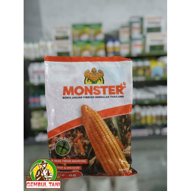 

jagung monster 1kg hibrida Thailand