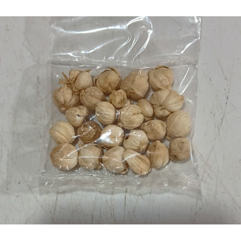 

kapulaga / kapol 10gr