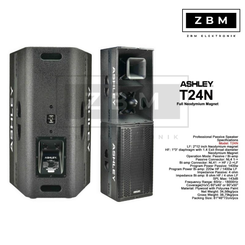 Speaker PASIF ASHLEY T24N 12" ORIGINAL T 24 N