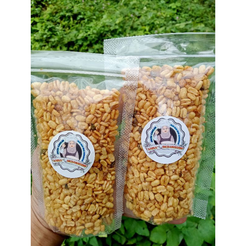 

kacang Hijau Goreng Renyah Gurih Asin (50gr)