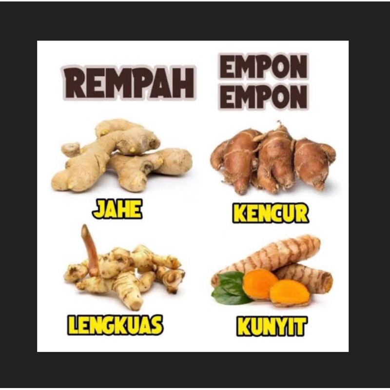 

Rempah-Rempah segar
