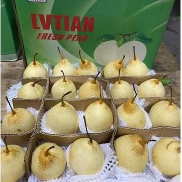 

Buah Pear Yalie 80 Jual Per 1 Dus Karton