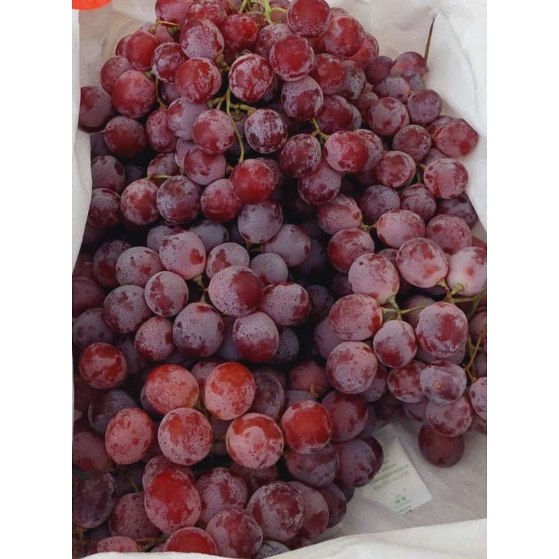 

anggur red globe manis kres,fresh/500gr