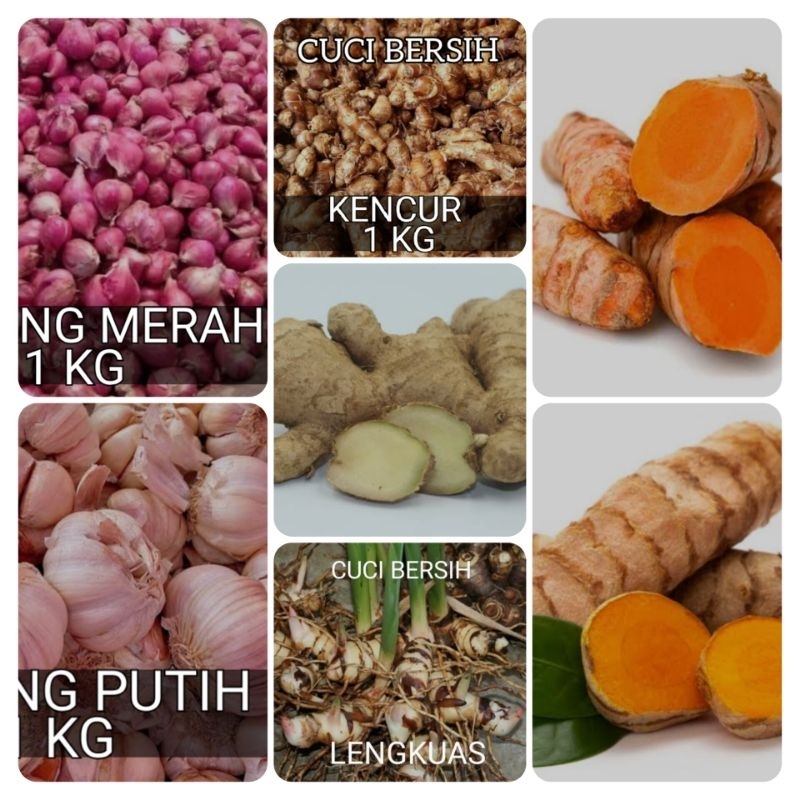 

REMPAH REMPAH SEGAR DAPUR LENGKAP | KENCUR LENGKUAS JAHE KUNYIT BAWANG TEMULAWAK |