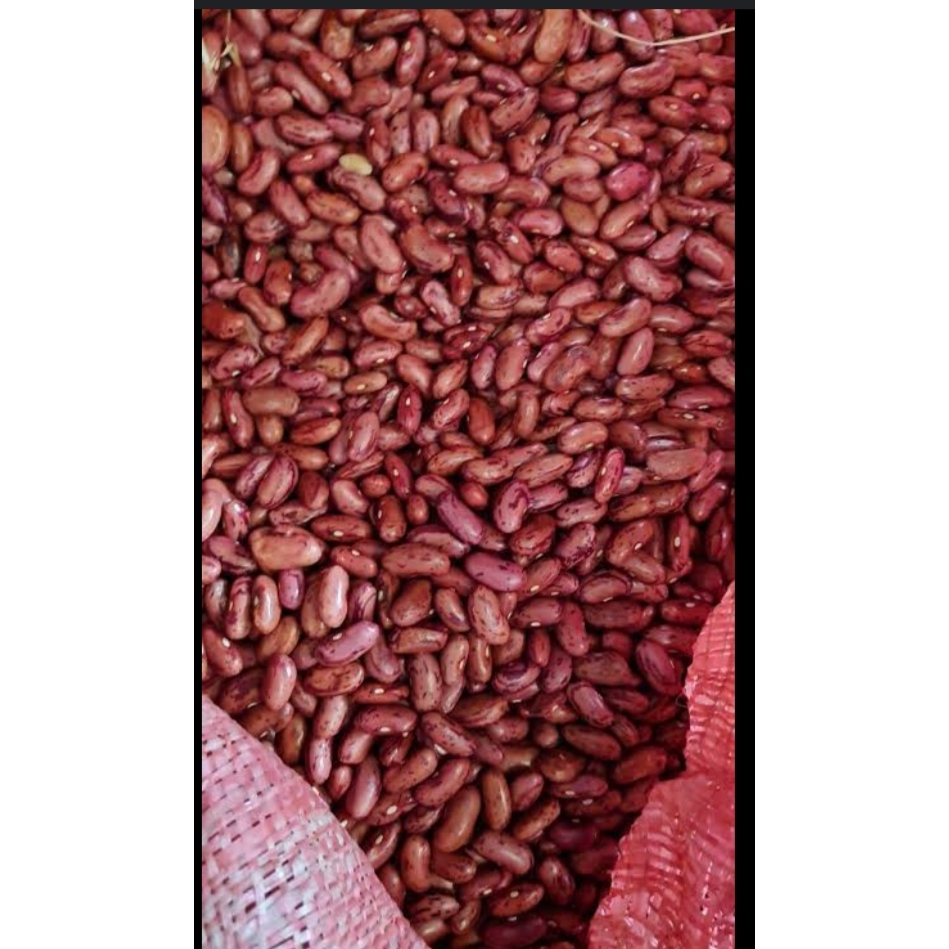 

kacang joglo ( merah lokal ) 1kg