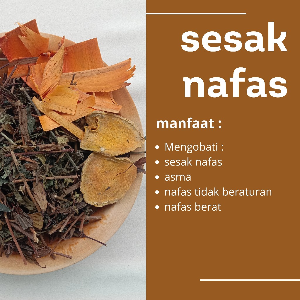 

JAMU TRADISIONAL REMPAH HERBAL ALAMI UNTUK MENGOBATI SESAK NAFAS