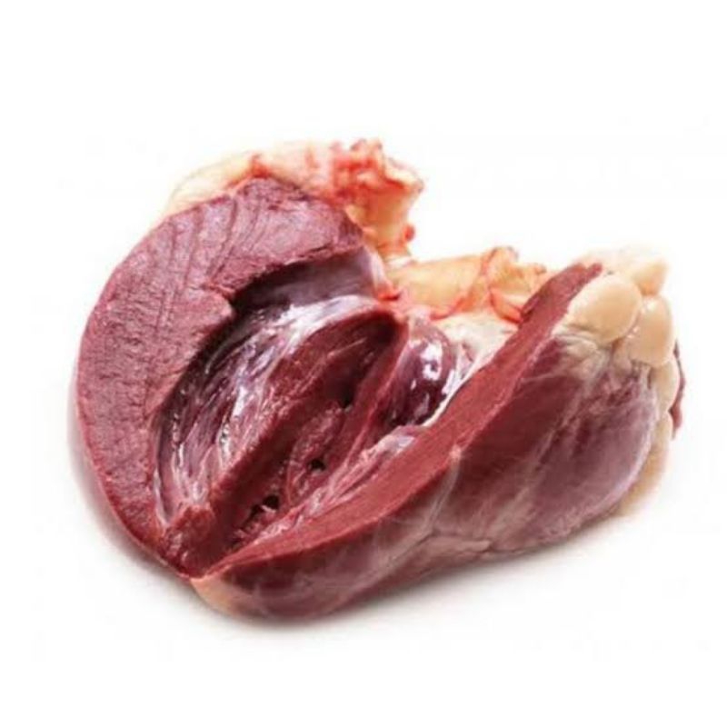 

Jantung Sapi FRESH 500 gram 100% Halal