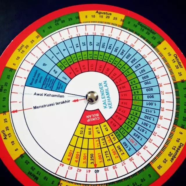 

Kalender Kehamilan Putar / Alat Hitung Usia Kehamilan / Kalender Janin