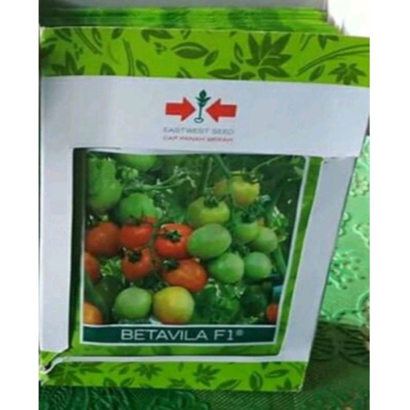 benih tomat BETAVILA F1