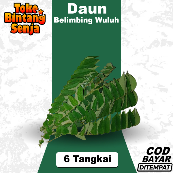 

Daun Belimbing Wuluh Segar Per 6 Tangkai Mudah Kering