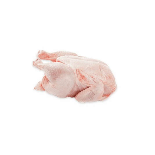 

Ayam Broiler Utuh / Whole Chicken / Ayam Karkas Frozen 0.8 - 0.9 Kg