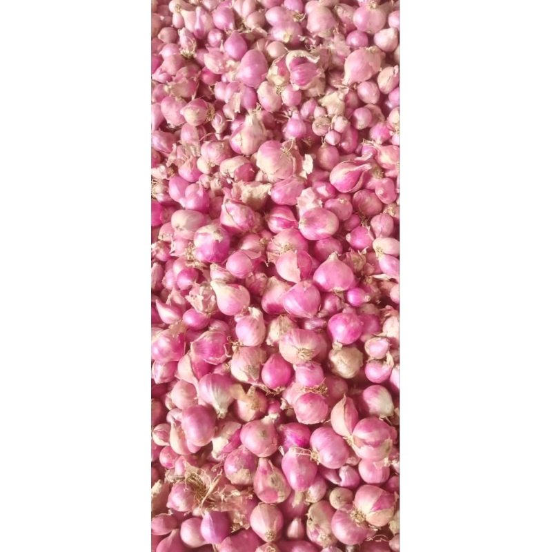 

bawang merah sangat murah dan bagus 500gram