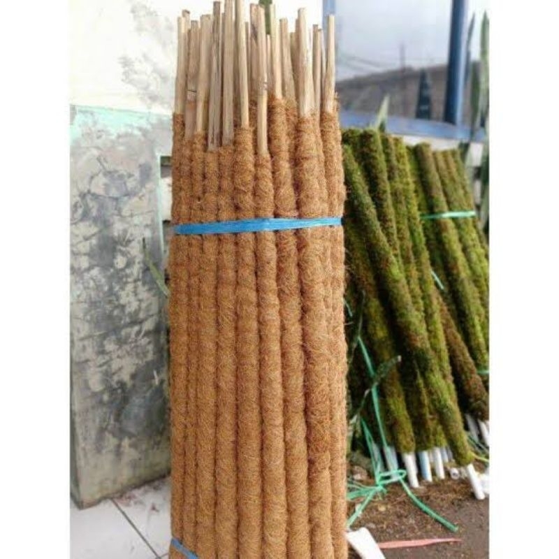 Turus bambu penyangga tanaman 1 meter siap pakai