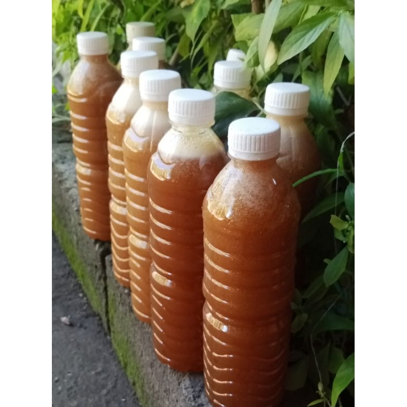 

Madu Lebah Hutan Liar