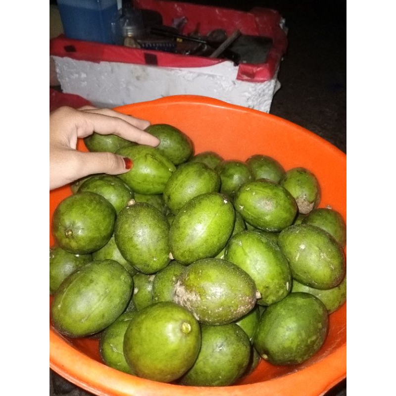 

PROMO!! KEDONDONG CAMPURAN 1KG FRESH!!!STOCK TIDAK BANYAK!!!