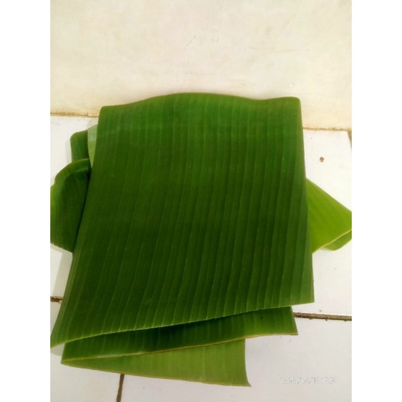 

Daun Pisang Batu