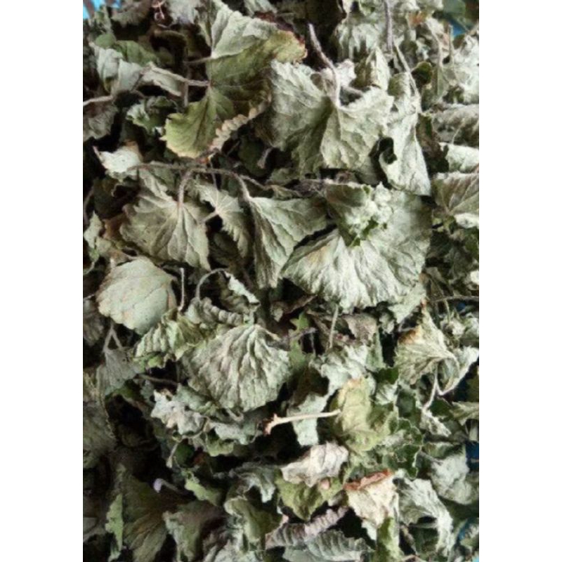 

daun antanan kering 200 grm