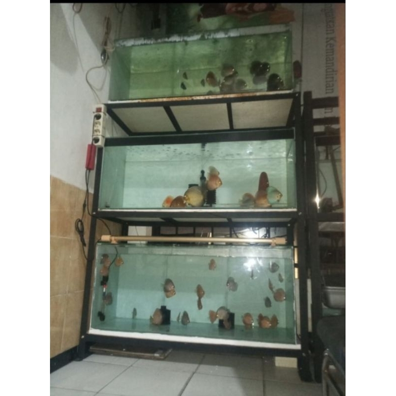 Rak aquarium 40x150 3 susun