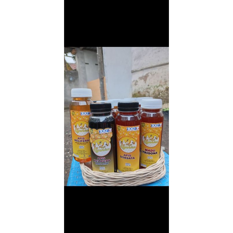 

Apis Melifera Madu Trigona (madu asli murni)
