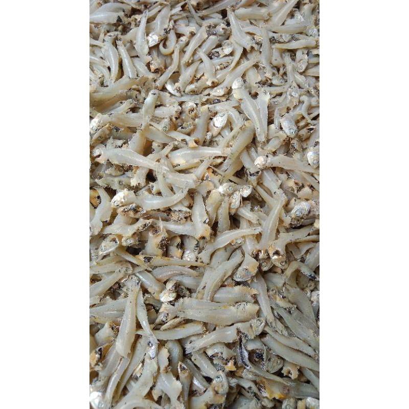 

ikan asin gepeng daging fres 1kg/ ikan asin teri murah/ ika asin kering