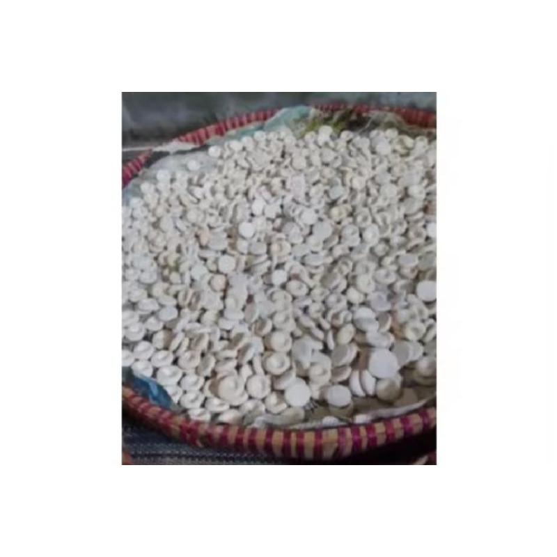 

parem beras kencur isi 50 g. bisa langsung dimakan