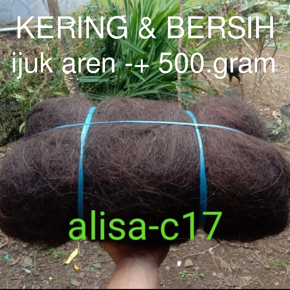Ijuk Aren Halus Kering Bersih 500 gram Ijuk Resapan Ijuk Filter Air Ijuk Saringan Ijuk Asli Bantalan