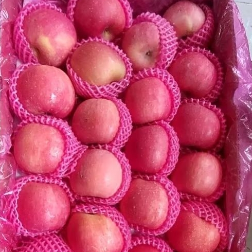 

ALID BUAH - 900 Gr APEL FUJI PREMIUM (ISI 4-5)