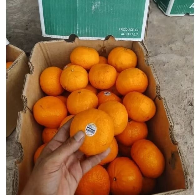 

BUAH JERUK HONEY MURCOT 500gr