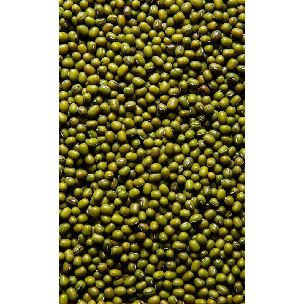 

Kacang hijau lokal 1kg Kualitas Super