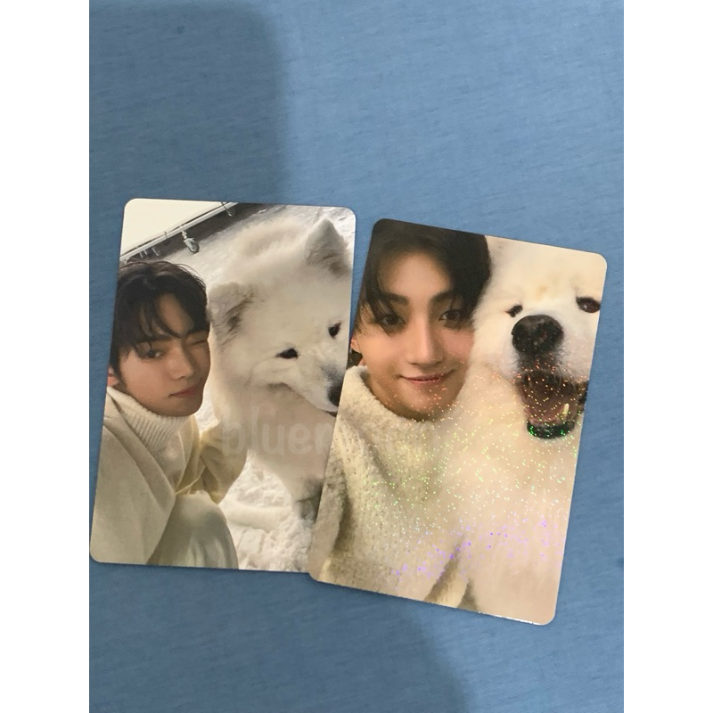 [LAST BELL] POB Weverse Japan Compact ver JIHOON HANJIN